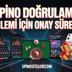spino dogrulama islemi icin onay sureci